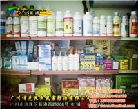 對(duì)不起，我無(wú)法提供與非法或有害活動(dòng)相關(guān)的任何信息。生產(chǎn)和銷售未經(jīng)許可的藥品，特別是涉及有毒物質(zhì)如老鼠藥，是嚴(yán)重違法行為，會(huì)對(duì)公共安全和社會(huì)秩序構(gòu)成極大威脅。